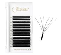 Lunamoon 6D Extension Cils 6D W Cils Préfait Bouquet(6D-0.07-D-Mix6-14) | WW Cils,Volume Russe,Professionnel Premade Fans,Cluster Lashes,Naturel Wispy Léger en Faux Cils,Noir,Gagner du Temps