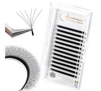 Lunamoon Extension Cils 6D W Cils Russe Volume Cils Individuels Cils Premade Fans Easy Fan Cils Eyelash Extensions de Cils (6D/0.07C 12mm)