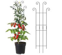 Lunaobrik Grimpeur de d'intérieur Support métallique pour Croissance Verticale des | Tuteur pour d'intérieur Monstera Tomate Lierre Clématite