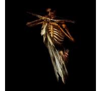 Lunar Aurora - Zyklus