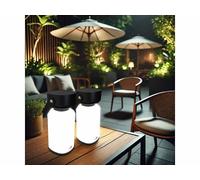 Lunartec 2 lanternes d’extérieur rechargeables LED 120 lm - coloris noir