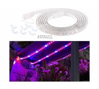Lunartec Bande de culture / croissance lumineuse 3 m à 180 LED