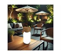 Lunartec Lanterne d’extérieur rechargeable LED 120 lm - coloris brun