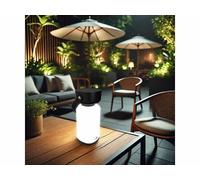 Lunartec Lanterne d’extérieur rechargeable LED 120 lm - coloris noir