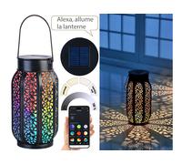 Lunartec : Lanterne solaire LED RVB CCT connectée et intelligente avec commandes vocales G