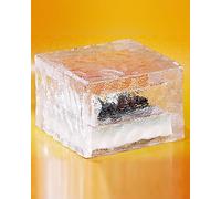 Pavé lumineux à LED solaire - 15 X 15 X 5 cm