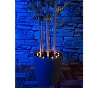 Lunartec Projecteur solaire pour plantes - kit de 3 pièces