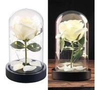 Lunartec : Rose artificielle avec cloche en verre et lumière LED - Blanche Rose G