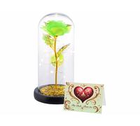 Rose éternelle sous cloche avec LED - coloris vert [Lunartec]