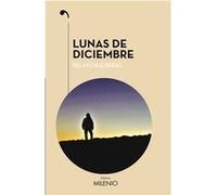 Lunas De Diciembre - [Livre en VO] Balderas, Pelayo (Auteur)