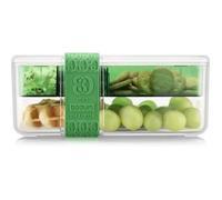 Bodum Lunch box compartimentée Bistro avec couverts Vert