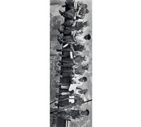 Lunch on a Skyscraper - New York - 53x158 cm - AFFICHE / POSTER G