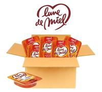 LUNE DE MIEL - 60 Barquettes individuelles de Miel - 20 grammes