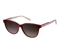 Lunette De Soleil Trapèze Pierre Cardin Rouge - M Rouge