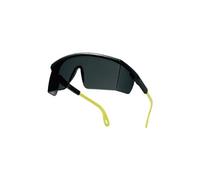 LUNETTES DELTA PLUS POLYCARBONATE MONOBLOC KILIMANDJARO SMOKE -KILIMNOFU100