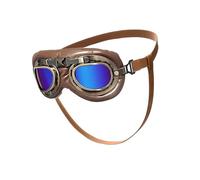 Lunettes antiques pour chien avec sangles réglables en cuir et verres en polycarbonate coupe-vent pour aventures en plein air et plage, voyage, animal domestique antique