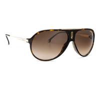 Carrera Hot Sunglasses Marron Homme