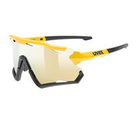 Lunettes de cyclisme Sportstyle 228 noir