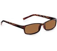 Lunettes De Lecture Avec Une Correction De +1 À +3,5 Lunettes Sans Ordonnance, Lunettes De Lecture Teintées