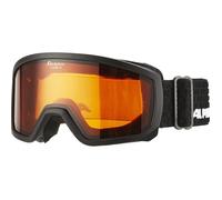 Lunettes de protection - Alpina - Scarabeo Doubleflex S2 - Noir - S2 - Verres interchangeables