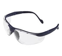 Lunettes de protection Eagle Eye + 2,5 2012010