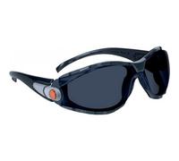 LUNETTES DELTA PLUS POLYCARBONATE FUMÉ -PACAYNOFU