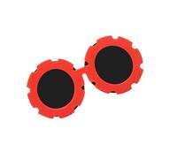 Lunettes de soleil à monture ronde pour animal domestique UV400 Lunettes de protection confortables pour les activités en plein air marche randonnée