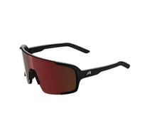 Lunettes de soleil Alpina Lumin TU