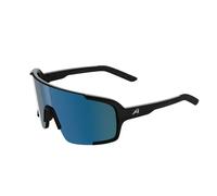 Lunettes de soleil Alpina Lumin TU