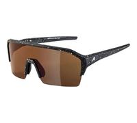 Lunettes de soleil Alpina RAM HR Q-lite TU