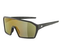 Lunettes de soleil Alpina Ram Q-Lite Noir TU