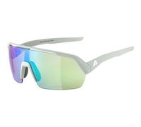 Lunettes de soleil Alpina Turbo HR Gris TU
