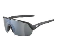Lunettes de soleil Alpina Turbo HR TU