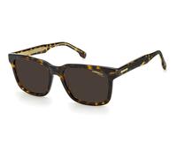 Lunettes de Soleil Carrera 251/S 086 HAVANA 53/18/145 UNISEX