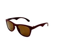 Carrera 6000st-kvl-lc Sunglasses Marron Homme