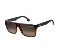 Lunettes de soleil - Carrera - Ca 5039/s - Marron dégradé - Monture havane/noir mat - Mixte