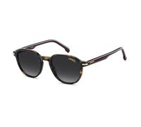 Lunettes de Soleil Carrera CARRERA 376/S 50/21/145 Havana Acetate frames MAN CARRERA 376/S