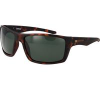 Lunettes de soleil CAT pour hommes
