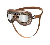 Lunettes de soleil de protection pour chien avec antique, esthétique, PC, confortable pour la plage, la randonnée, lunettes de soleil rétro pour chien