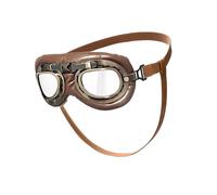 Lunettes de soleil de protection pour chien avec antique, esthétique, PC, confortable pour la plage, la randonnée, protection des yeux de chien, antique