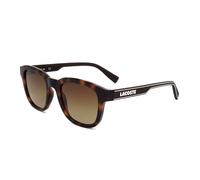 Lacoste Homme L966S 230 Lunettes de soleil Plastique Havane Marron Carré Ombré