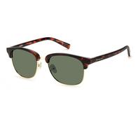 Lunettes de Soleil Polaroid PLD 1012/S Light gold havana 54/18/145 Homme
