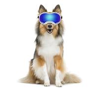 Lunettes de Soleil pour Animaux de Grande Race, Design Cool, Matériau PC Résistant aux UV, Sangle Réglable, Coupe-Vent avec Protection Complète des Yeux, Conduite en Plein Air