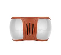 Lunettes De Soleil pour Animaux Les Équestres Sportives avec Une Sangle Réglable Facile À Usager Animaux Compagnie Sportifs Équins