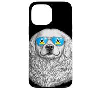 Lunettes de Soleil pour Chien Drapeau de Sainte Lucie Cadeau Love Sainte Lucie Coque pour iPhone 13 Pro Max