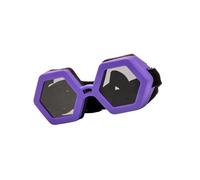 Lunettes de Soleil pour Chiens, Protection des Yeux pour Petits Chiens, pour séances Photo et Excursions en Plein air, Protection des Yeux