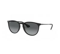 Lunettes de soleil Ray-Ban RB4171 Erika noir mat