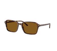 Lunettes De Soleil Rayban RB 2231 Bernard 141833 58 Originales Nouvelles