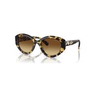Lunettes de soleil, Style Cat-eye, SK6008, Marron OS