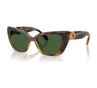 Lunettes de soleil, Style Cat-eye, SK6047, Marron clair OS